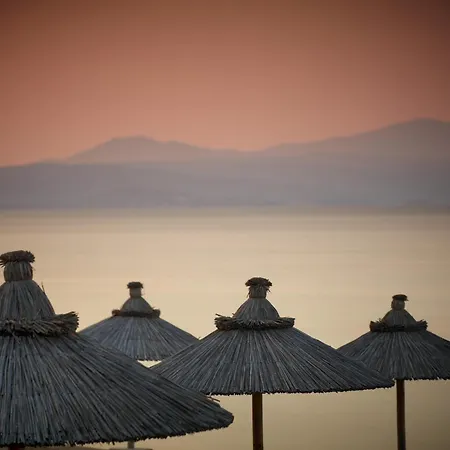 블루 돌핀 4*