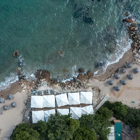 Blue Dolphin 4*