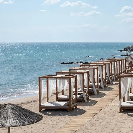 Blue Dolphin 4* Метаморфоси