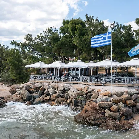Blue Dolphin 4*
