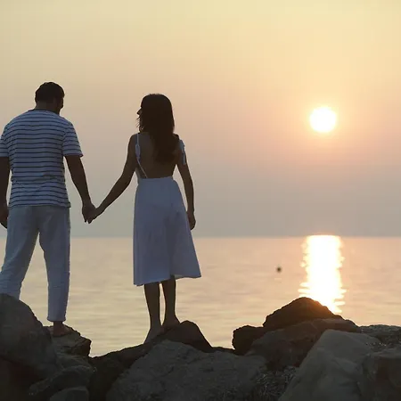 Blue Dolphin מטהמורפוסי