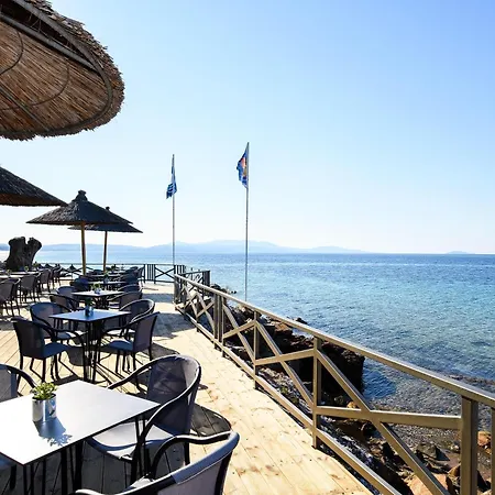 Blue Dolphin Resort 4*