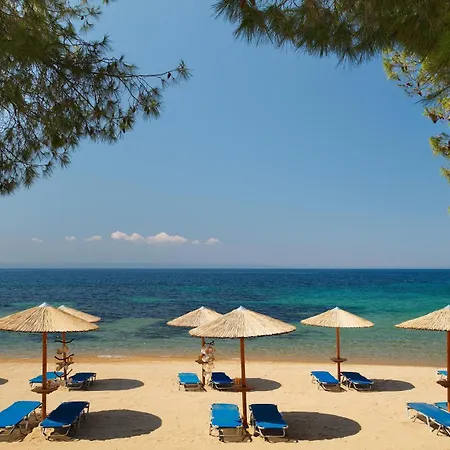 Blue Dolphin Metamorfosi (Sithonia)