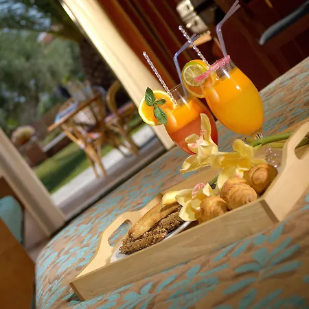 Blue Dolphin מטהמורפוסי