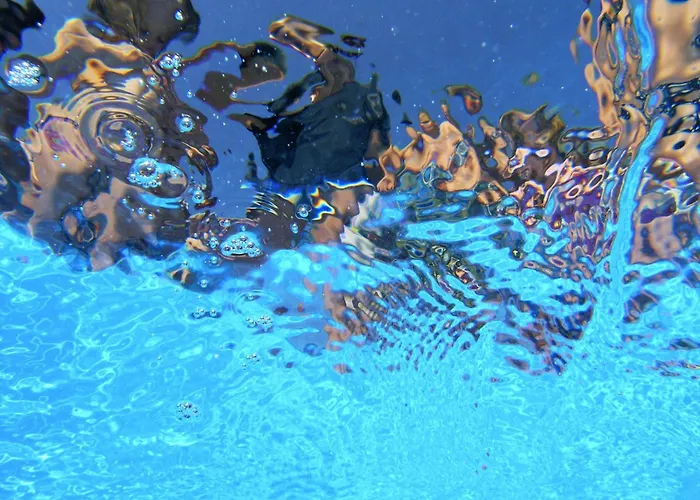 Feriested Blue Dolphin