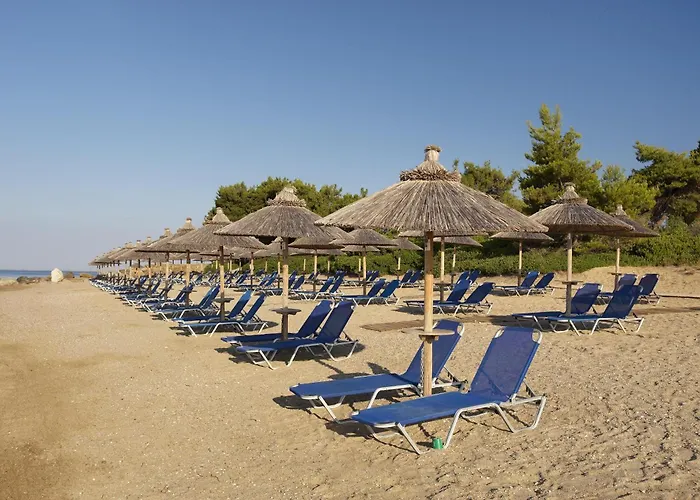 Resort Blue Dolphin Metamorfosi (Sithonia)