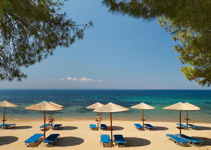 Blue Dolphin Metamorfosi (Sithonia)