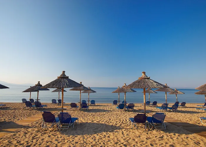 Blue Dolphin Metamorfosi (Sithonia)