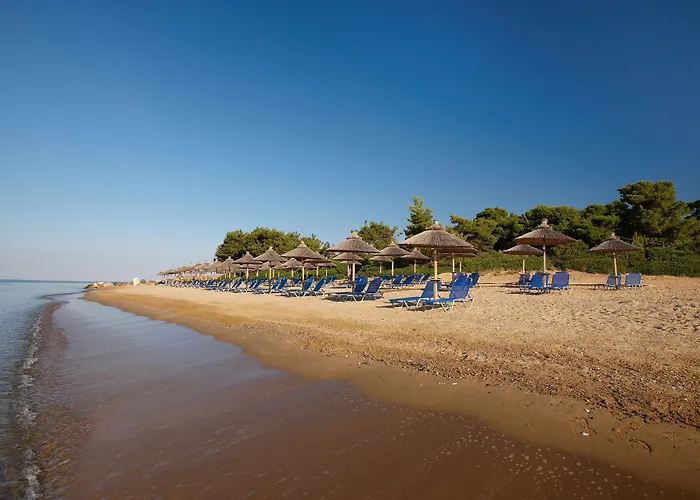 Feriested Blue Dolphin