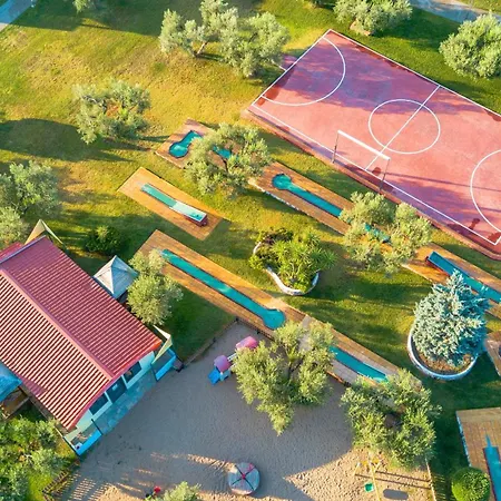 Blue Dolphin ميتامورفوسي