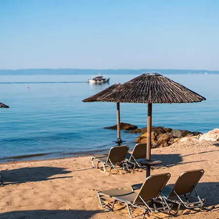 Blue Dolphin منتجع