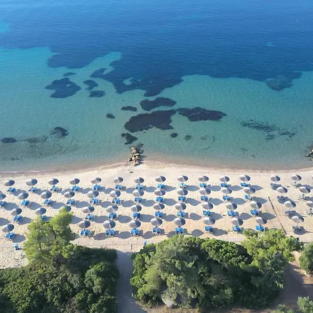 منتجع Blue Dolphin