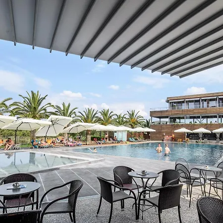 Blue Dolphin ميتامورفوسي