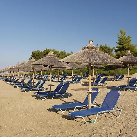 منتجع Blue Dolphin ميتامورفوسي