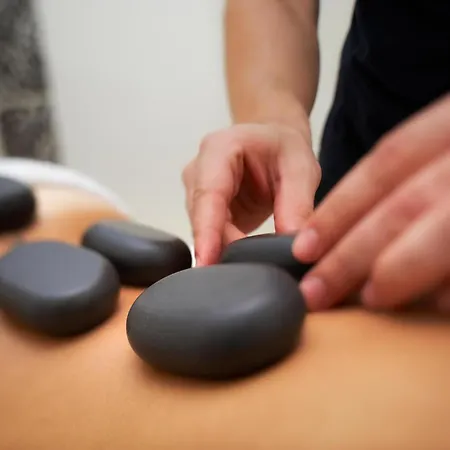 Blue Dolphin ميتامورفوسي