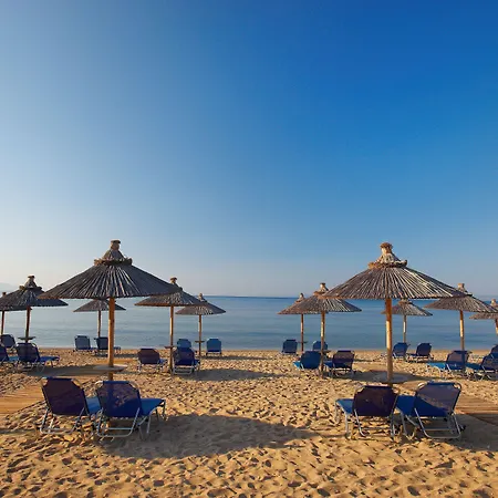 Blue Dolphin ميتامورفوسي