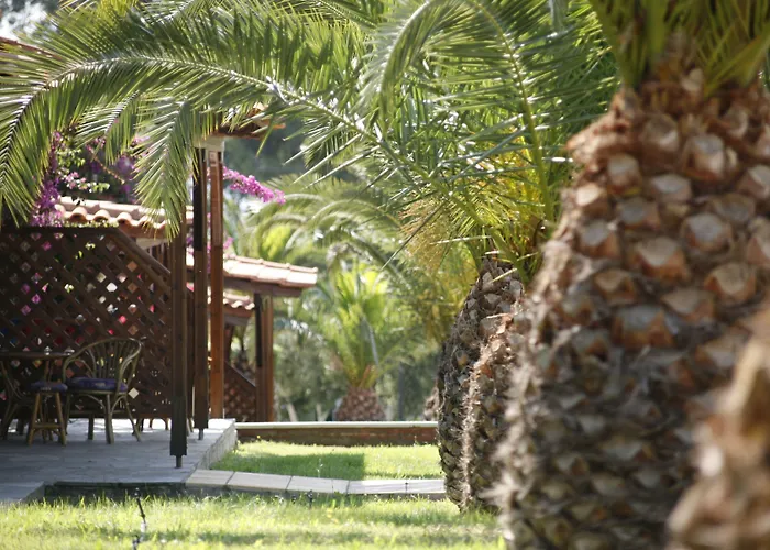 Blue Dolphin Metamorfosi (Sithonia)